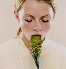 Petrina Hicks, Shenae and Jade (2005), 2005, photograph: light jet print