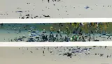 Fred Williams, Botanic Gardens Lake III (1970)