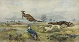 Alfred Strutt, (Kangaroos), watercolour on paper