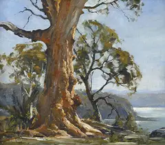 ANGOPHORA, AVALON HEIGHTS by Robert Johnson, oil on canvas, offered Jun 2013