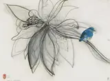 Brett Whiteley, MAGNOLIA AND BIRD 1978, 1978, charcoal and collage on paper