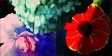 Tim Maguire, UNTITLED 1993, 1993, oil on paper on canvas (diptych)