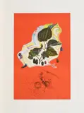 Mûres sauvages by Salvador Dalí, Kaltnadelradierung über Farblithographie auf BFK RIVES (Wasserzeichen), sold Apr 2018