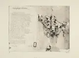Horst Janssen, Auktion 329, Los 788, 1973, Aquatintaradierung auf J WHATMAN ENGLAND (Wasserzeichen)