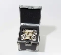 Patrick Raynaud, Auktion 329, Los 885, Flightcase mit Schädel und Zeitungspapier