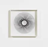 Ludwig Wilding, Auktion 329, Los 1010, Serigraphie auf Plexiglas und Papier