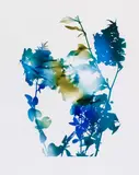 Auktion 329, Los 1007 by James Welling, 2006, C-Print, sold Nov 2013