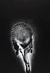 Schwarzer Sonnentau by Otto Piene, Farbserigrafie auf schwarz beschichtetem Karton, sold Nov 2014