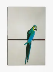 Pappagallo by Michelangelo Pistoletto, Farbserigrafie auf polierter Edelstahlplatte, sold Nov 2014