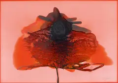 Ohne Titel by Otto Piene, Mischtechnik (Feuergouache) auf rot beschichtetem Karton, sold Nov 2014