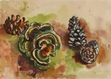Stillleben mit Tannenzapfen by Karl Schmidt-Rottluff, Aquarell und Tusche auf Büttenkarton (Prägestempel Schoellershammer), sold Nov 2014