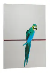 Pappagallo by Michelangelo Pistoletto, Farbserigrafie auf polierter Edelstahlplatte, sold Jun 2015