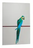 Pappagallo by Michelangelo Pistoletto, Farbserigrafie auf polierter Edelstahlplatte, sold Jun 2015