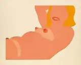Tom Wesselmann, Great American Nude cut-out