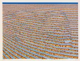 Thomas Bayrle, Rimini II, Farblithografie auf Velin