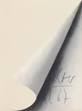 Blattecke by Gerhard Richter, Farboffset auf granuliertem Halbkarton, sold Nov 2015