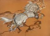 Carl von Marr, Steigende Pferde, Sepia und Gouache auf Papier