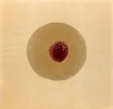 Ohne Titel (Carminblume) by Otto Piene, Mischtechnik (Feuergouache) auf SCHOELLERSHAMMER 4R (Trockenstempel), sold Jun 2015