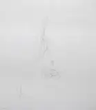 Joseph Beuys, Blume, Radierung auf Papier
