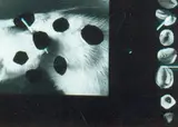 Felix Droese, Ohne Titel (Scherenschnitt Nr. 10), Collage auf Papier