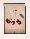 Alois Janák, Kirschen, Farbradierung auf Papier
