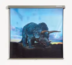 Bernard Joisten, Pterosaure-Ecran, Acryl auf Projektionsleinwand