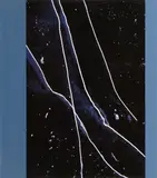 A. T. Schaefer, Ohne Titel (BR 21), Cibachrome, Acryl