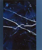 A. T. Schaefer, Ohne Titel (GEN 303), Cibachrome, Acryl