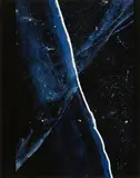 A. T. Schaefer, Ohne Titel (ME 201), Cibachrome, Acryl