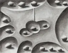Andreas Schulze, Ohne Titel, Kohle auf Papier