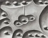 Andreas Schulze, Ohne Titel