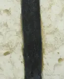 Rémy Trevisan, Ex Animo, Lithografie auf Bütten