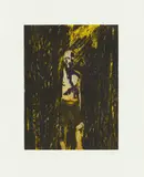 Peter Doig, Curious (1/4)