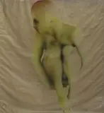 Karolus Lodenkämper, Ohne Titel, Mischtechnik auf Kunststofffolie