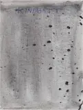 Jonathan Meese, 1. Saalkind
