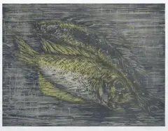 Ellena Olsen, Fische (Serie von 4 Arbeiten: Maulbrüter, Kugelfisch, Lachse, Barsch), Holzschnitt auf Papier