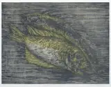 Ellena Olsen, Fische (Serie von 4 Arbeiten: Maulbrüter, Kugelfisch, Lachse, Barsch), Holzschnitt auf Papier