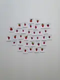 Hans-Peter Feldmann, Ein Pfund Erdbeeren (34 Fotos), C-Print