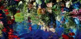 Margriet Smulders, Asklepios, C-Print auf Diasec