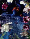 Margriet Smulders, La volupte pure, C-Print auf Diasec