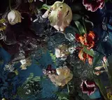 Margriet Smulders, For Jan van Huysum II, C-Print auf Diasec