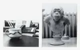 Jochen Lempert, Ohne Titel (Affe/Tasse) (2-teilig), Gelatinesilberabzug