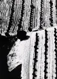 Ohne Titel (Landschaft) by Mario Giacomelli, Gelatinesilberabzug auf Agfa-Papier, sold Jun 2015