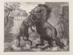 John Steuart Curry, Stallion and Jack Fighting, Lithograph on wove paper from an edition of 250