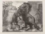 John Steuart Curry, Stallion and Jack Fighting