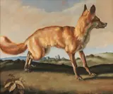 Jack J. Hartert, Fox on The Downs, Oil on Masonite