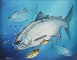 Tom Carter, Lake Trout, Oil on artist board