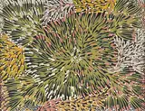 Eunice Napangardi, Bush Banana, Acrylic on canvas