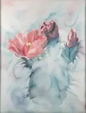 Mary Hoeksema, Cactus Bloom, Watercolor on paper