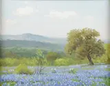 Porfirio Salinas, Texas Bluebonnet Landscape